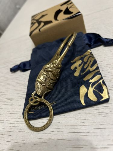 Customer photo review of Beetle Keychain | Brass