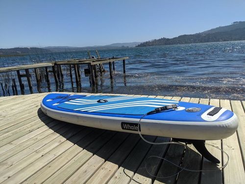 Customer photo review of PRE-VENTA Whale 9'
