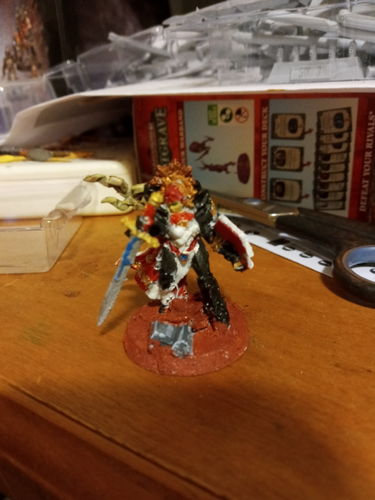 Customer photo review of Gift: Kariadil D'Ark Limited Edition