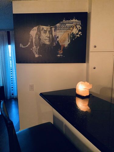 Customer photo review of Money Lion