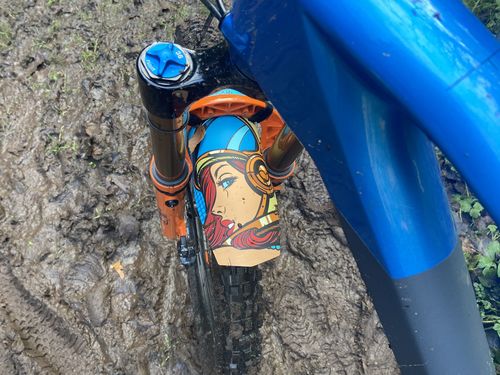 Customer photo review of Custom Fender