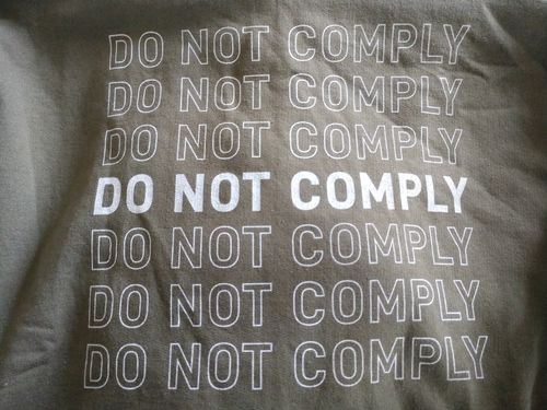 Customer photo review of Do Not Comply Hoodie