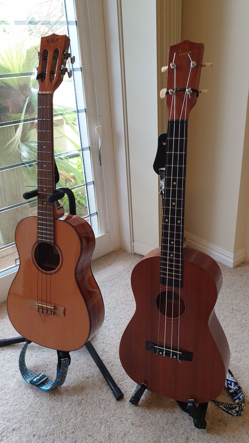 Customer photo review of BB Worth Brown Baritone Ukulele Strings DGBE Tuning Fluorocarbon 2 Restrings per Packet