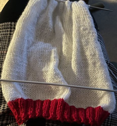 Customer photo review of November 2021 Child-Girl Box