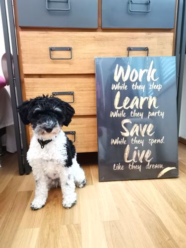 Customer photo review of Work While They Sleep