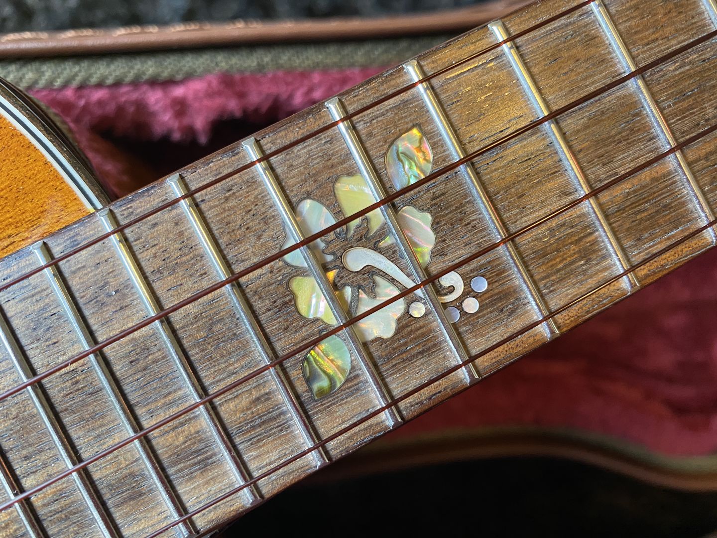 Customer photo review of BT Worth Brown Tenor Ukulele Strings High G Fluorocarbon 2 Restrings per Pack