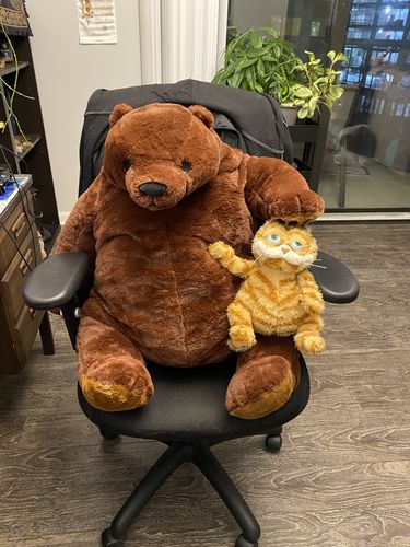 Customer photo review of SKOGGY BEAR