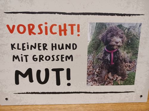Customer photo review of Personalisierbares -Foto- Schild "kleiner Hund"