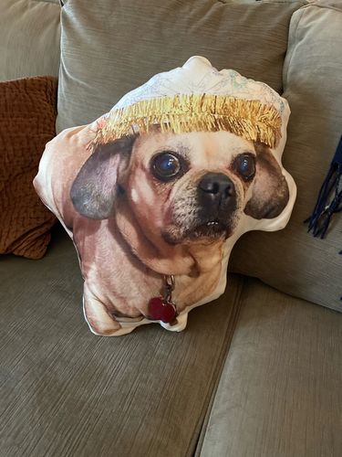 Customer photo review of Create A Custom Dog Pillow