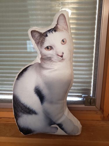 Customer photo review of Create A Custom Cat Pillow
