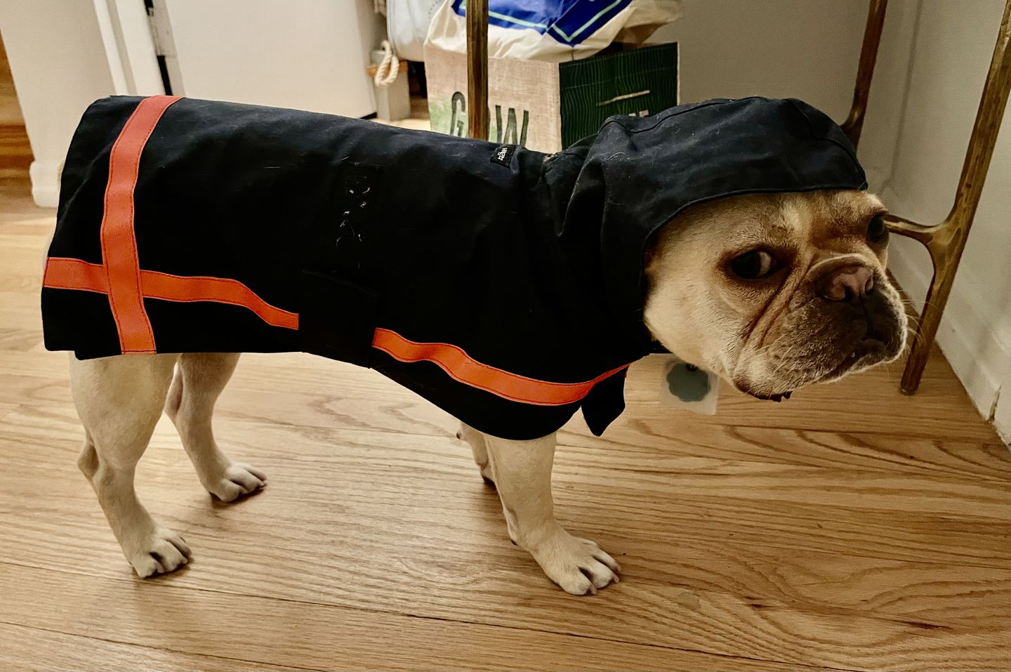 Customer photo review of Reflective All-Weather Raincoat (Wax Coat)