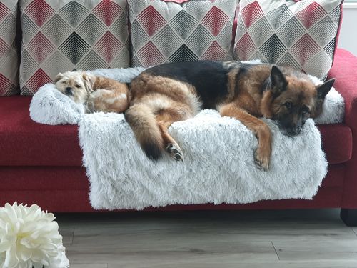 Customer photo review of Calming Couch Bed