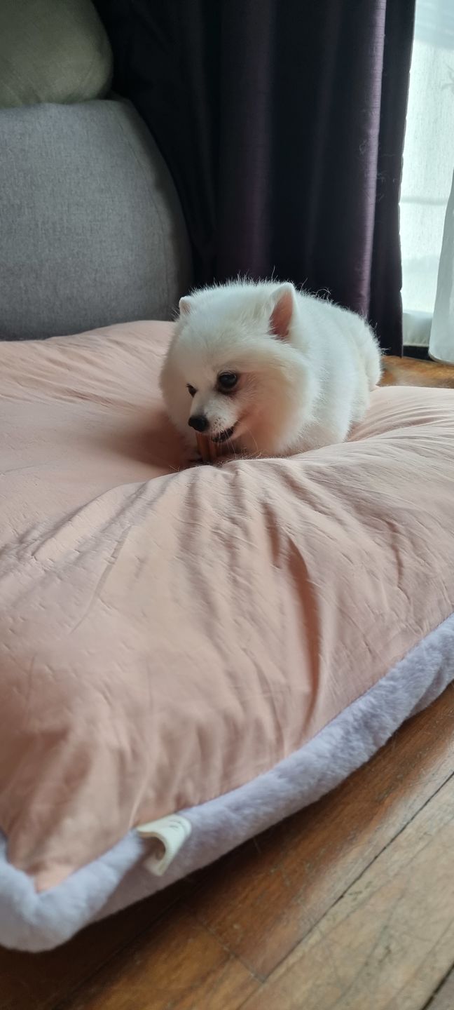 Customer photo review of arrr Sleeping Blanket (NEW)