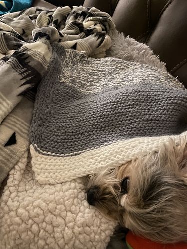 Customer photo review of Comfy Pet Bed Calming High Stretch Soft Faux Fur for Dogs Cats