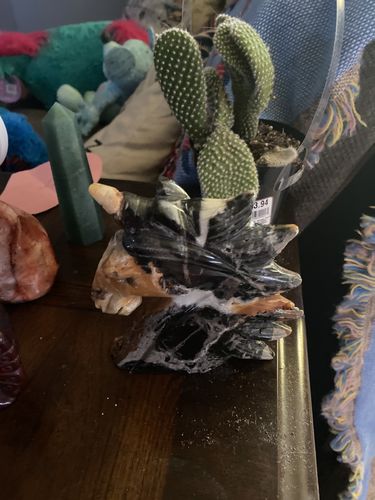 Customer photo review of Caribbean Calcite Unicorn Head