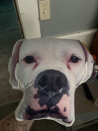 Customer photo review of Create A Custom Dog Pillow
