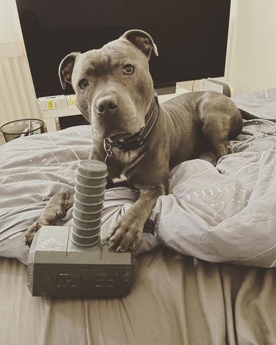 Customer photo review of The Fenrir Hammer