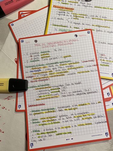 Avis photo d'un client sur Fiches de révision REVISION 2.0 OXFORD # 50 fiches 14,8 x 21 cm - petits carreaux