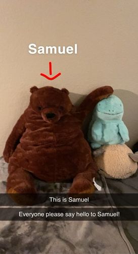 Customer photo review of SKOGGY BEAR