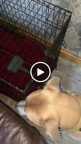 Customer video review of The Fenrir Hammer