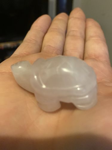 Customer photo review of Rose Quartz Turtle