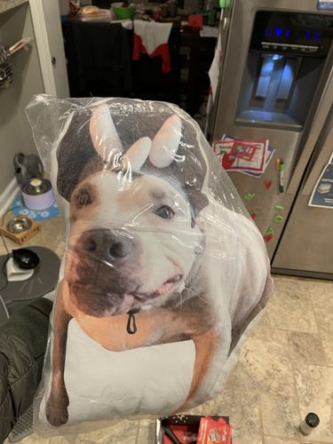 Customer photo review of Create A Custom Cat Pillow