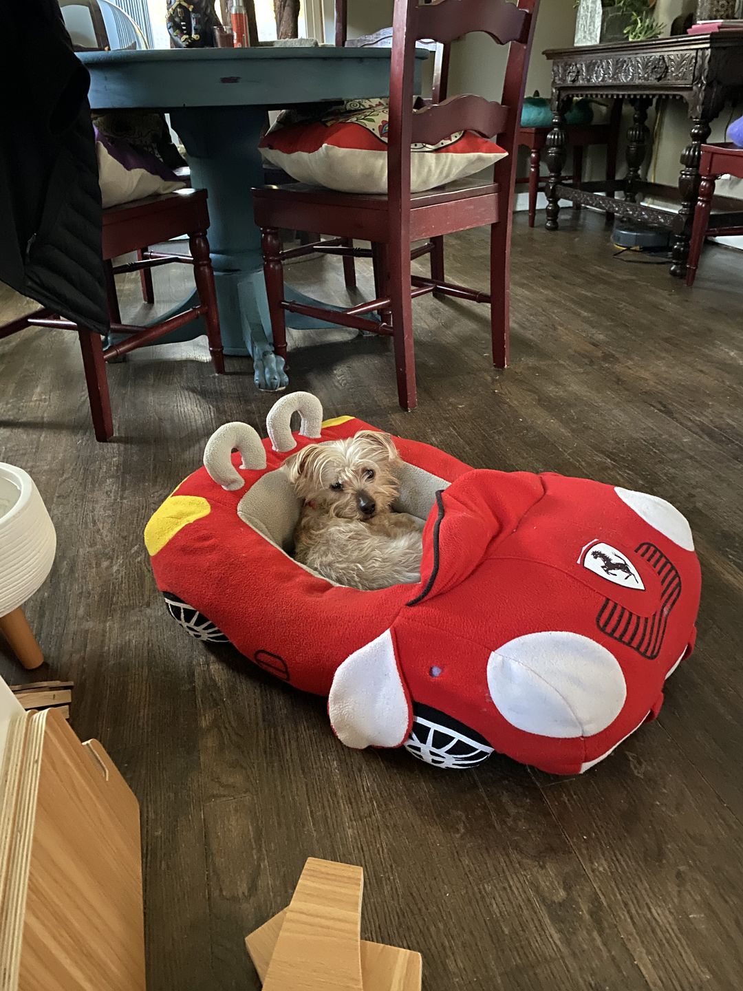 Customer photo review of Furcedes Sports Car Bed