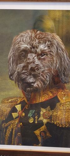 Customer photo review of The General - Custom Vintage Pet Portrait