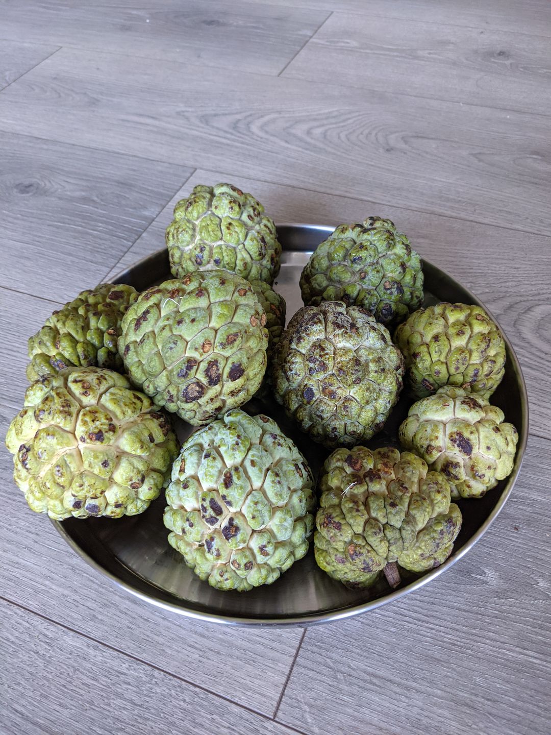 Customer photo review of Sugar Apple (Sweetsop)