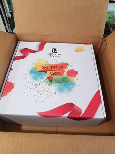 Customer photo review of HOLIDAY LOCS BOX