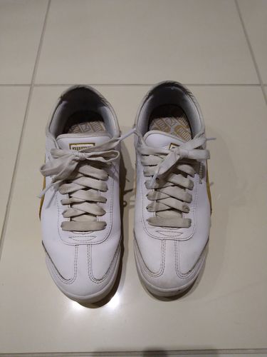 通販限定 Rosylily プレミアムシューズシャンプー ギフトセット Rosy Lily