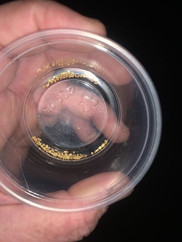 Customer photo review of Treasure Paydirt Surprise '300 GRAM GOLD HUNT' - Gold Paydirt Panning Concentrates