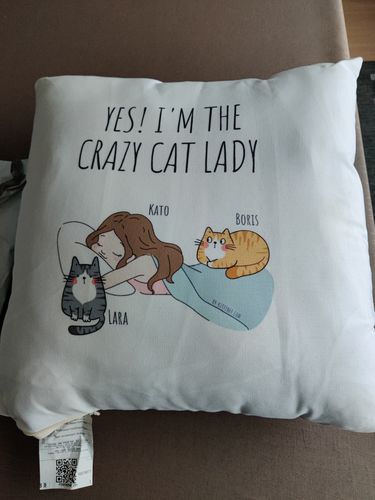 Customer photo review of Personalized Cat Pillow