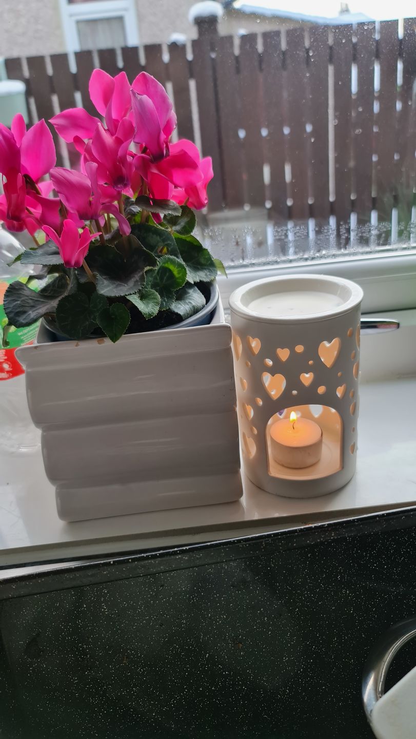 Customer photo review of Velvet Peony & Oud Wax Melts