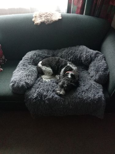 Customer photo review of Calming Couch Bed