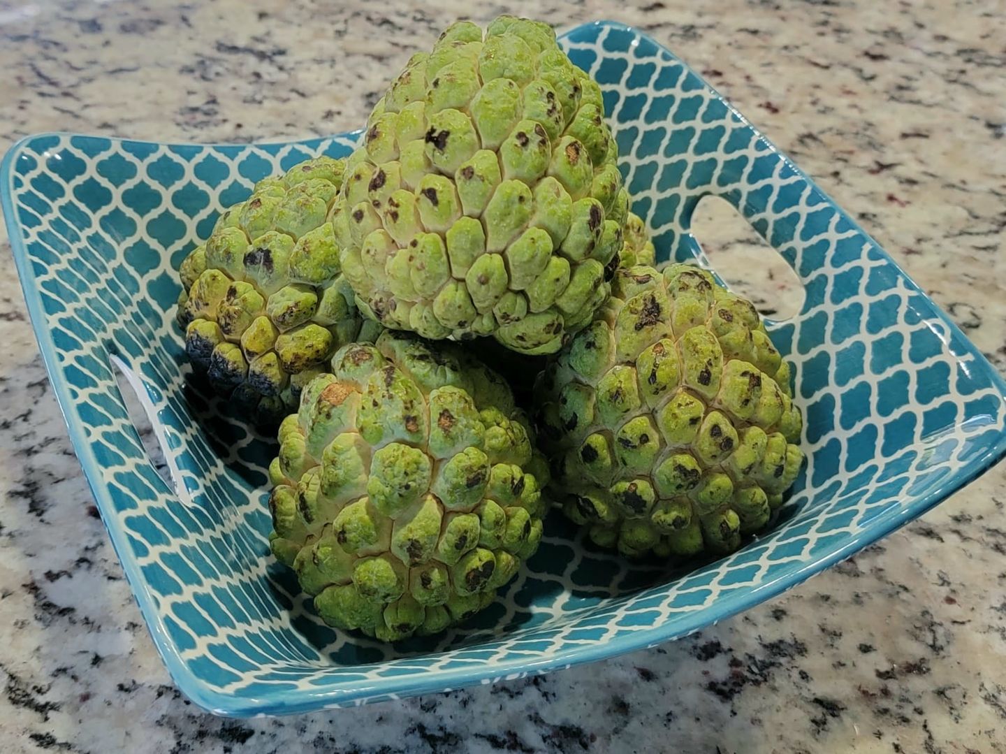 Customer photo review of Sugar Apple (Sweetsop)