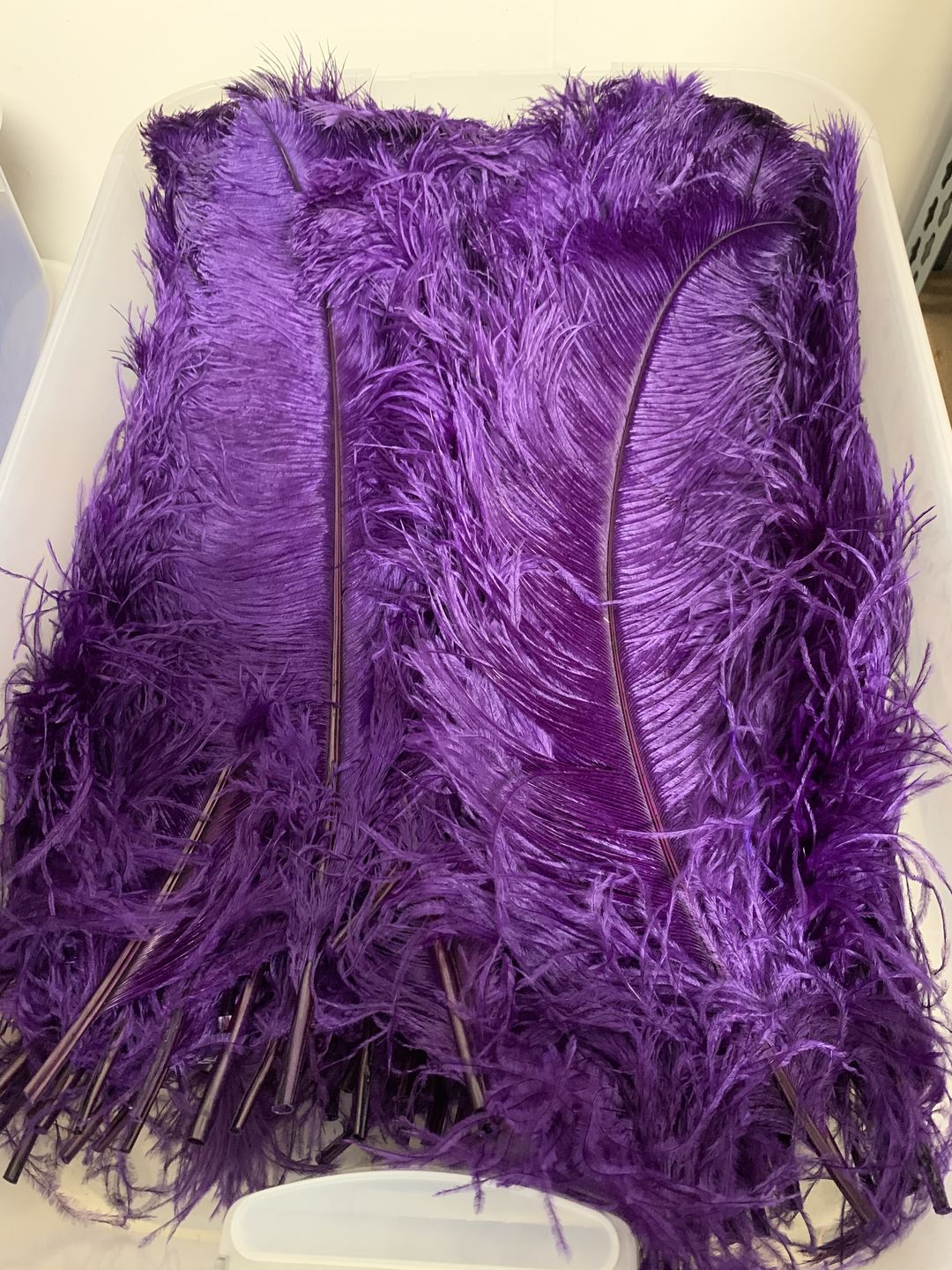 Customer photo review of Ostrich Wing Feathers | Ostrich Plumes