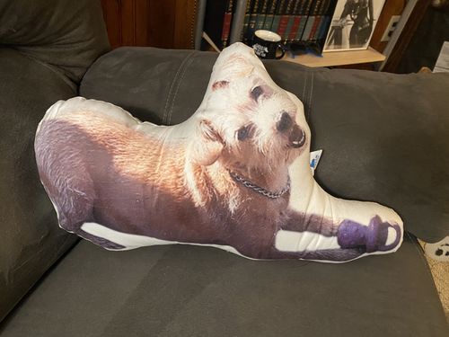 Customer photo review of Create A Custom Object Pillow