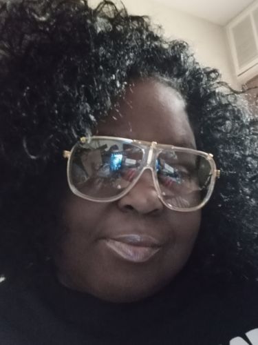 Customer photo review of Zury Sis Reversible Dual Color Wig Cf-H Rv Phia