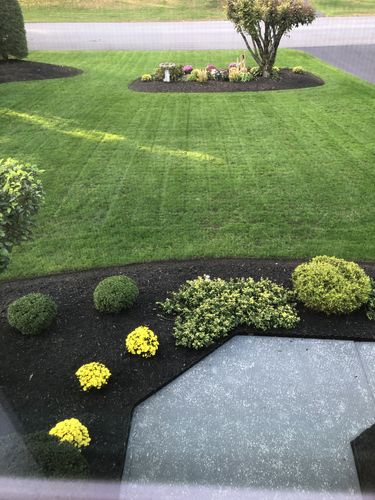 Customer photo review of Protene Performance Fall Fertilizer