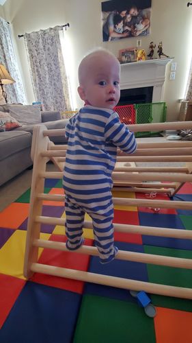 Customer photo review of Little Climber