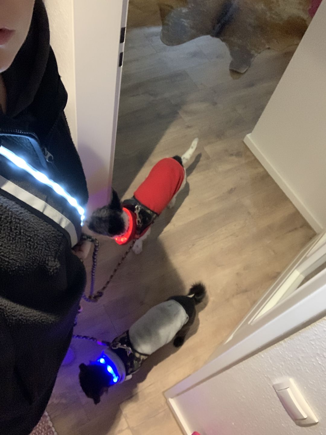 Customer photo review of LED Gurt für Erwachsene