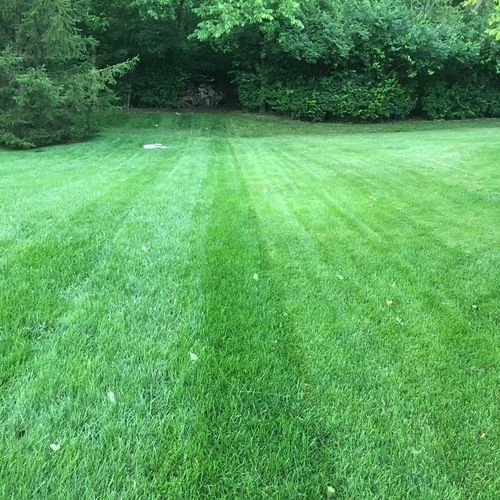 Customer photo review of Protene Performance Fall Fertilizer