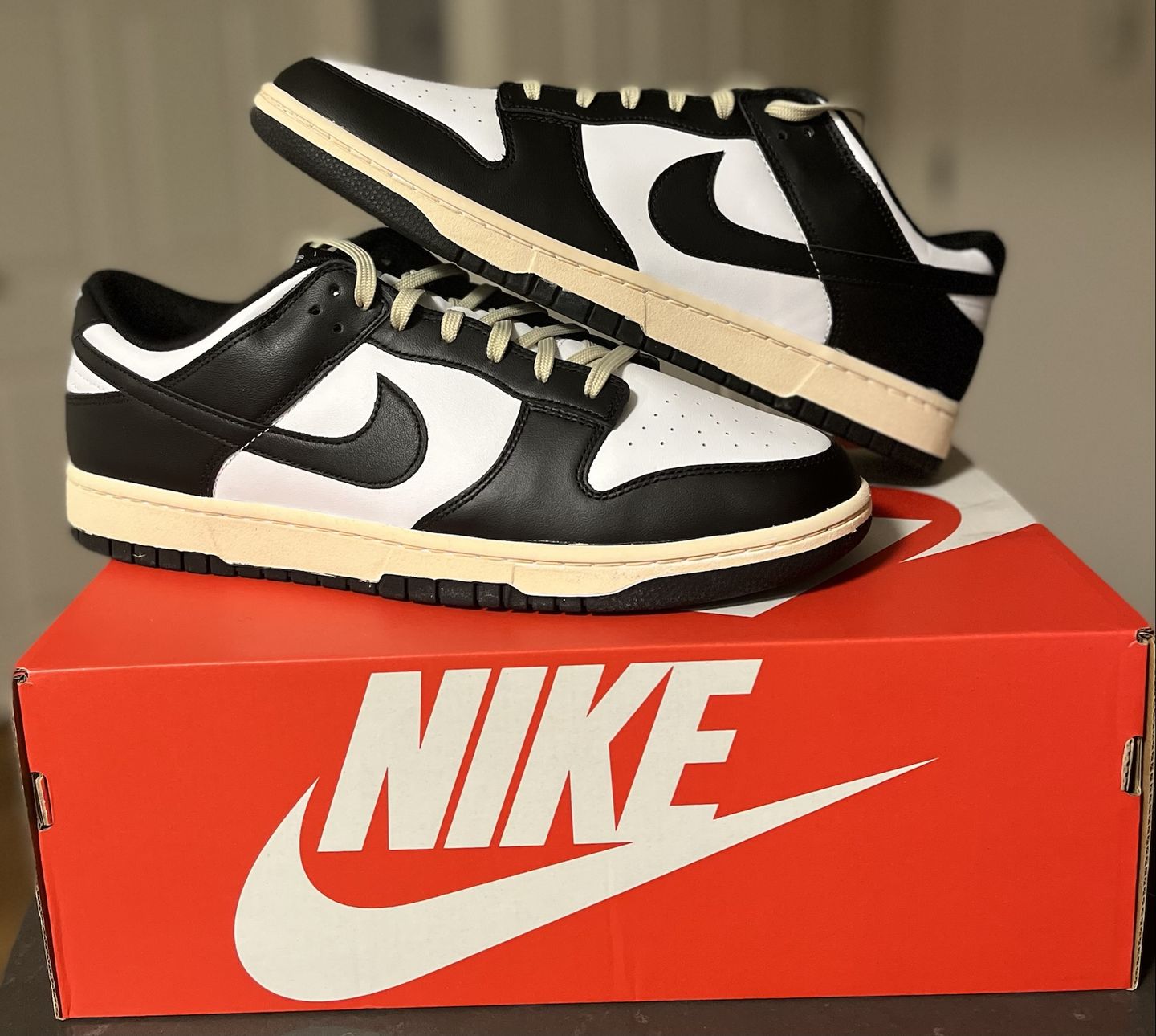 Customer photo review of Flat Standard Shoe Laces - Solids