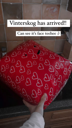 Customer photo review of SKOGGY BEAR