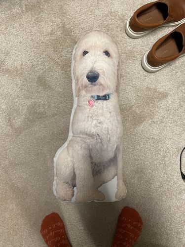 Customer photo review of Create A Custom Dog Pillow