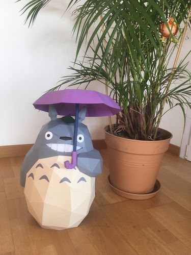 Customer photo review of Patrons Totoro (pdf)
