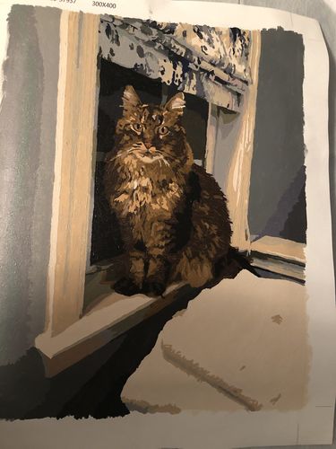 Customer photo review of Custom Paint By Numbers Kit - Upload Your Photo - Brush Set Included