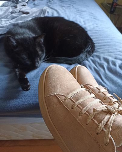 Customer photo review of Rabel Camel