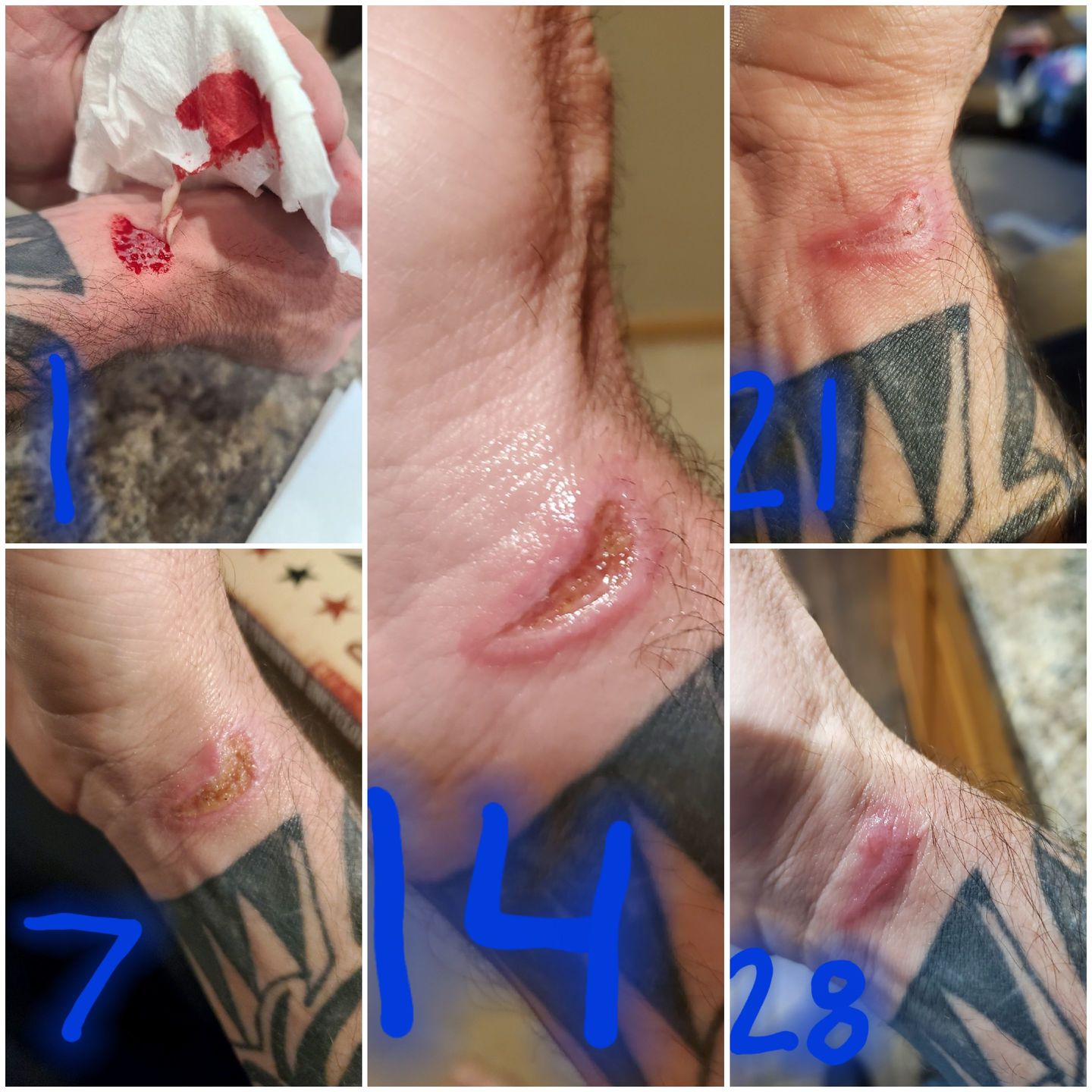 Customer photo review of Combat Ready Ointment - Everyday Carry
